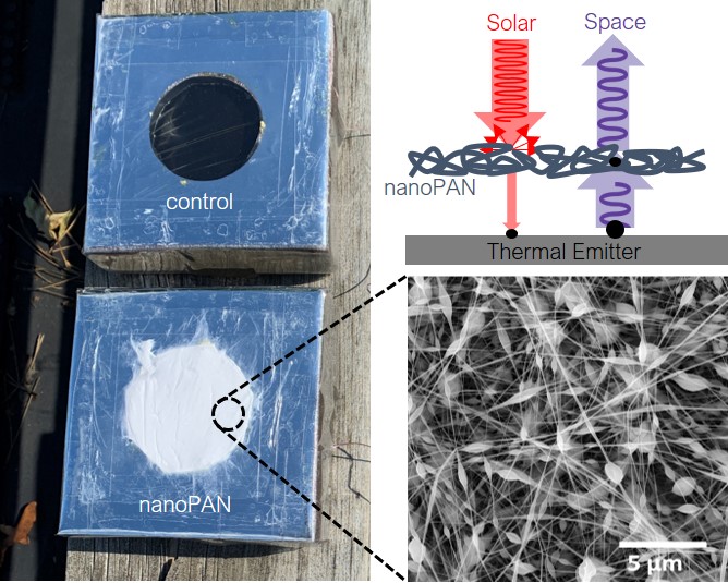 Selectively Enhancing Solar Scattering for Direct Radiative Cooling through Control of Polymer Nanofiber Morphology